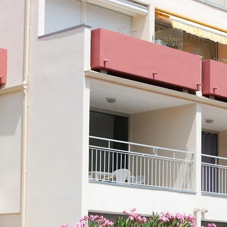 Les Mimosas カルヴィ